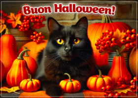 Postcard halloween