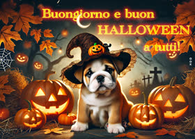Postcard halloween