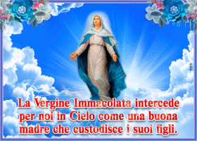 Picture immacolata concezione