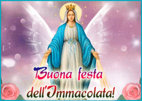 Picture immacolata concezione