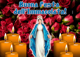 Picture immacolata concezione