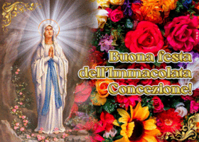 Picture immacolata concezione
