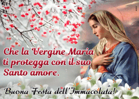 Picture immacolata concezione