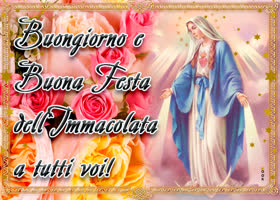 Postcard immacolata concezione