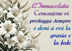 Picture immacolata concezione