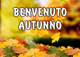 Picture inizia l'autunno