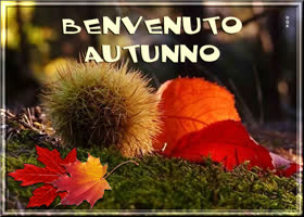 Postcard inizia l'autunno