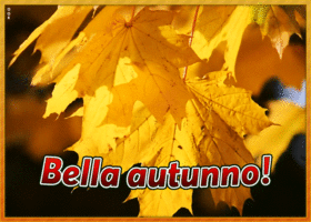 Picture inizia l'autunno (equinozio d'autunno)