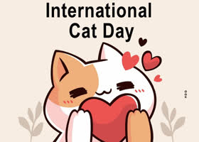 Picture international cat day