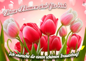 Picture int'ler fraientag
