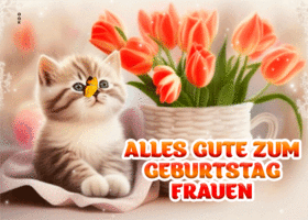 Picture int'ler fraientag