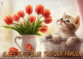 Postcard int'ler fraientag