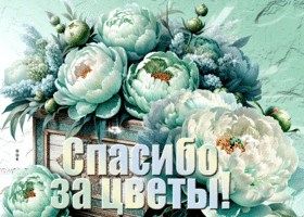 Postcard искрометная гиф-открытка, спасибо за цветы