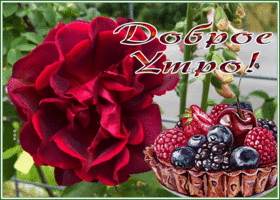 Postcard картинка доброе утро с яркой розой и пирожным
