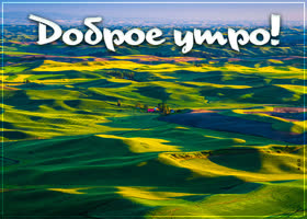 Postcard картинка доброе утро с зелеными полями