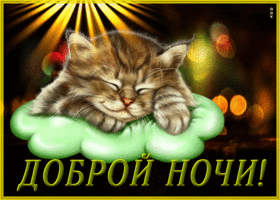 Picture картинка доброй ночи с очаровательным спящим котенком