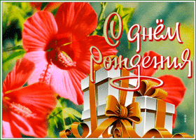 Postcard картинка с днем рождения женщине с удивительным красным цветком