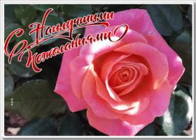 Открытка картинка с розой с наилучшими пожеланиями