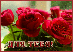 Открытка картинка с великолепными розами подруге