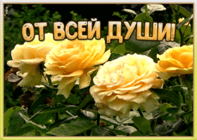 Открытка картинка с желтыми розами
