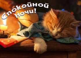 Picture картинка спокойной ночи с очаровательным рыжим котом
