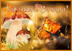 Postcard картинка уютного вечера с осенью и грибами