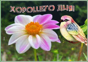 Postcard картинка хорошего дня с волшебной птицей