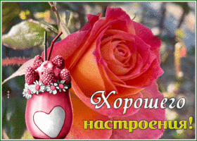 Postcard картинка хорошего настроения с розой и коктейлем