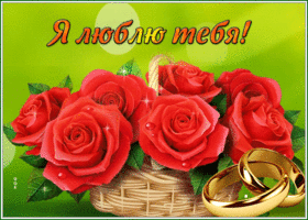 Postcard картинка я тебя люблю с великолепными розами
