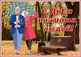 Картинка красивая открытка международный день пожилых людей
