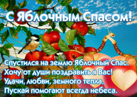 Картинка красивая открытка  яблочный спас