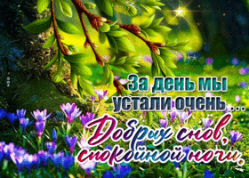 Picture ласковая гиф-открытка, добрых снов и спокойной ночи