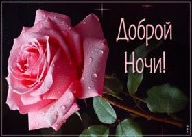 Postcard легкая гиф-открытка с розой, доброй ночи