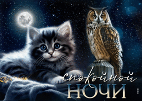 Postcard лунная гиф-открытка с котиком и совой, спокойной ночи