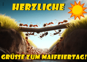 Postcard maifeiertag/der erste mai/tag der arbeit