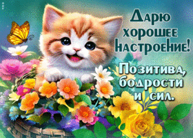 Postcard милая гиф-открытка с котиком, дарит хорошее настроения на весь день