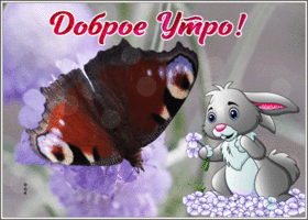 Picture милая открытка доброе утро с бабочкой и зайкой