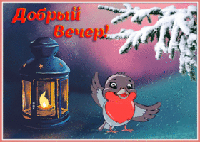 Картинка милая открытка добрый вечер с зимой