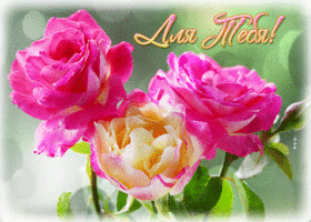 Картинка милая открытка с розами