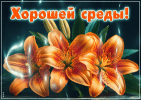 Postcard надежная гиф-открытка, хорошей среды