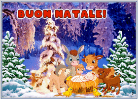Postcard natale