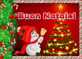 Picture natale