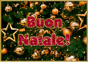 Picture natale