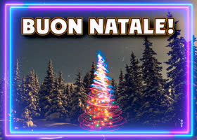 Picture natale