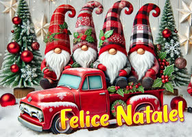 Picture natale