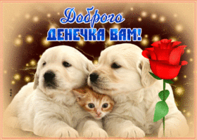 Картинка необычная открытка  с песиками и котом