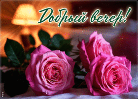 Picture незабываемая гиф-открытка, доброго и невероятного вечера
