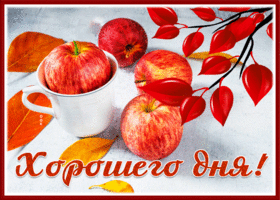 Картинка новая открытка хорошего дня с яблоками