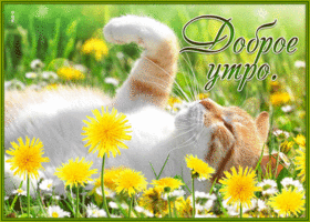 Picture очаровательная открытка доброе утро с котиком и одуванчиками