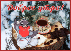 Picture очаровательная открытка доброе утро с птичкой